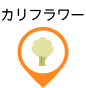 カリフラワー