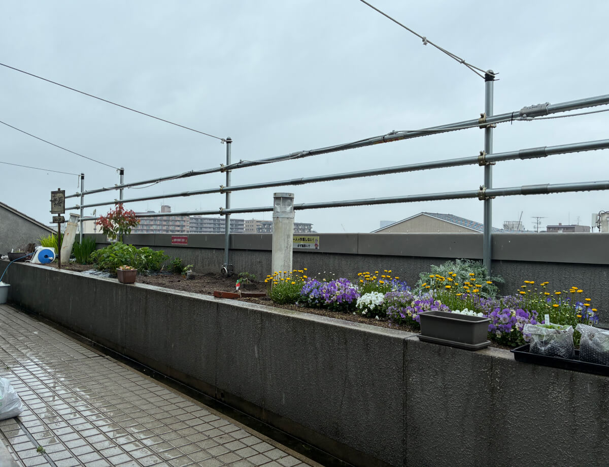 雨のノースガーデン