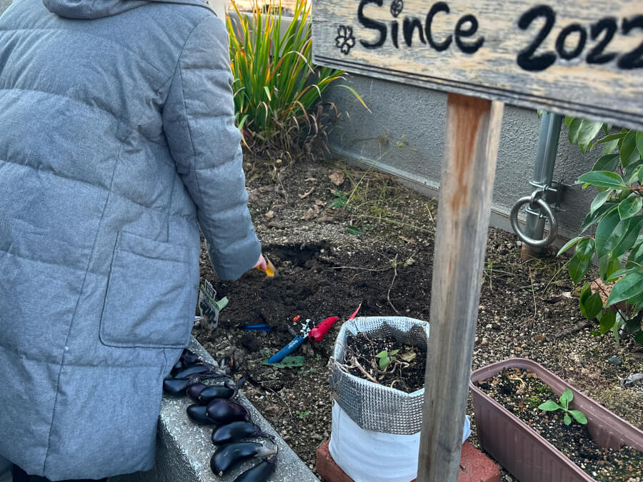 とうとうナス終い