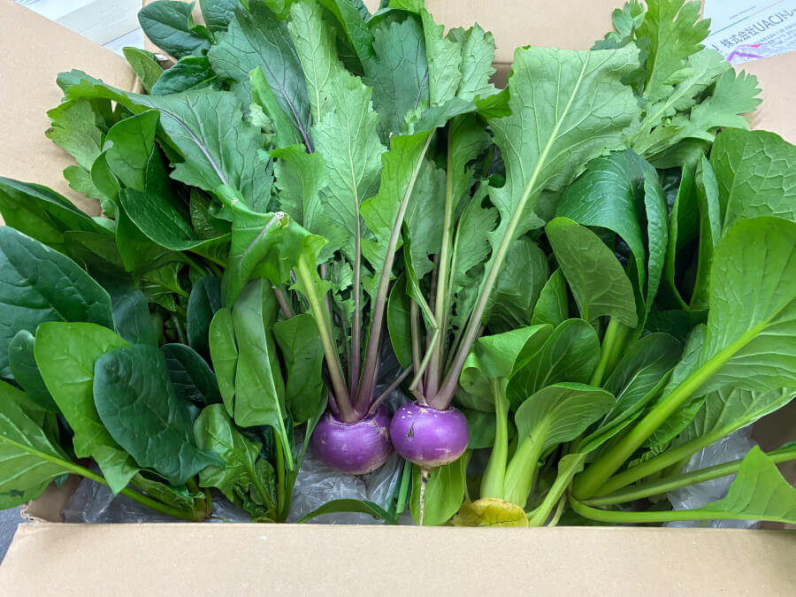 年末の振り返り