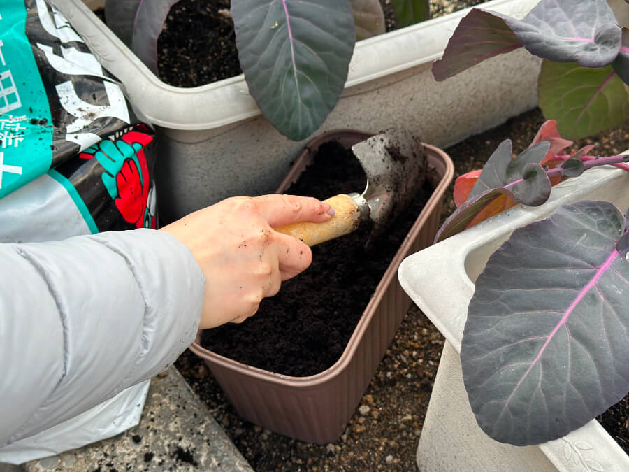 プランターの準備