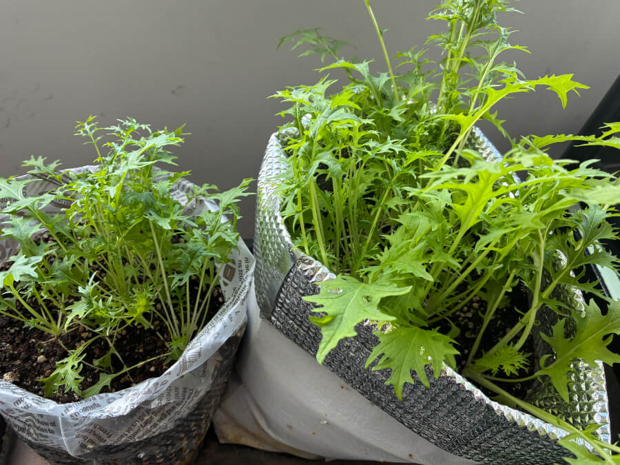 タイミングが・・・