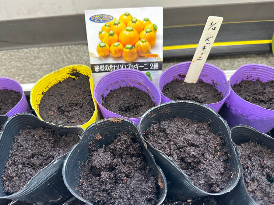 初もの種まき part2