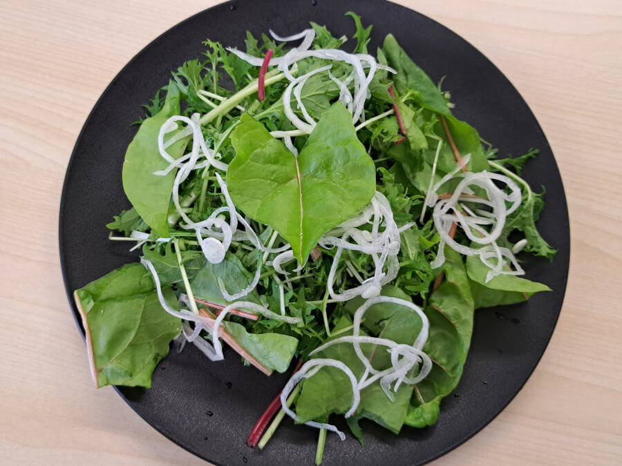 収穫した野菜たち