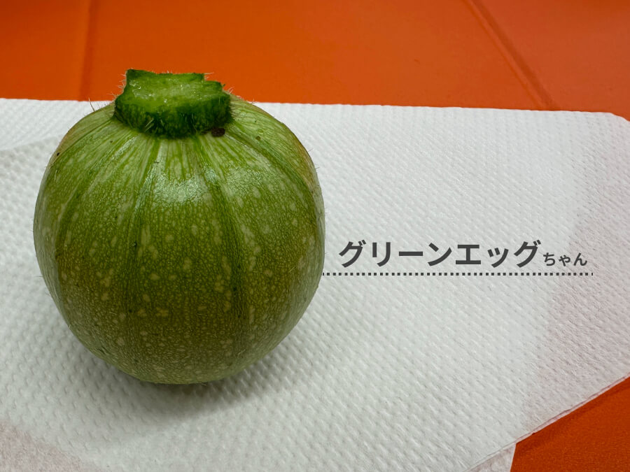 卵型ズッキーニ グリーンエッグちゃん