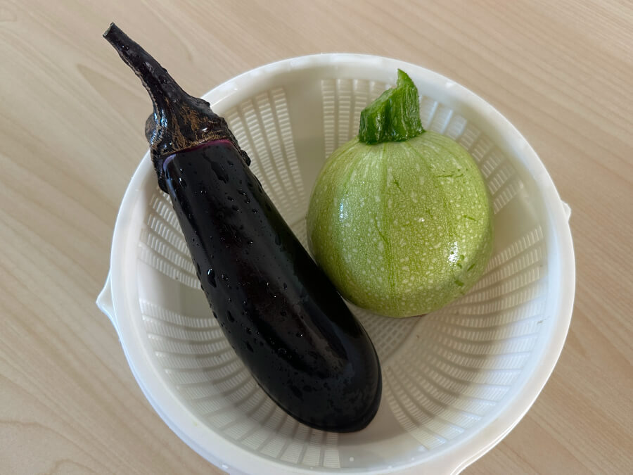 ナスとズッキーニ